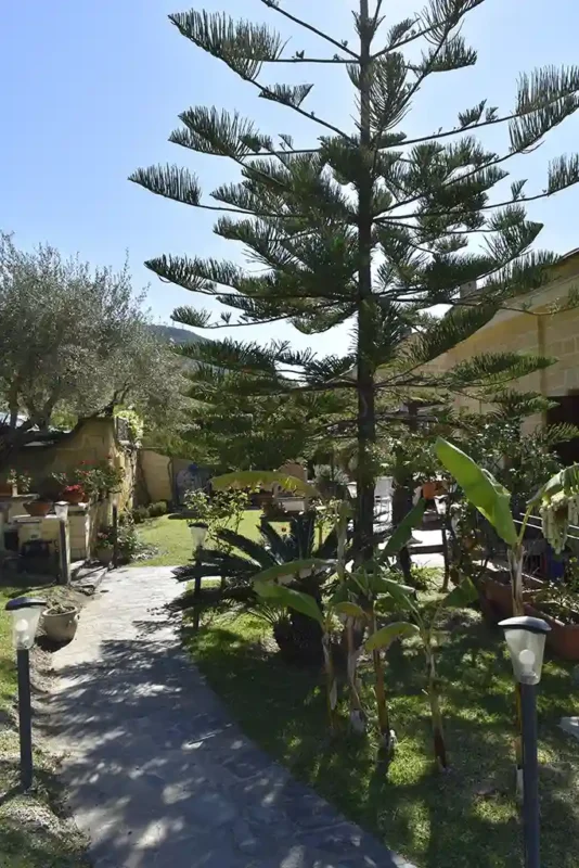 vialetto_accesso-giardino